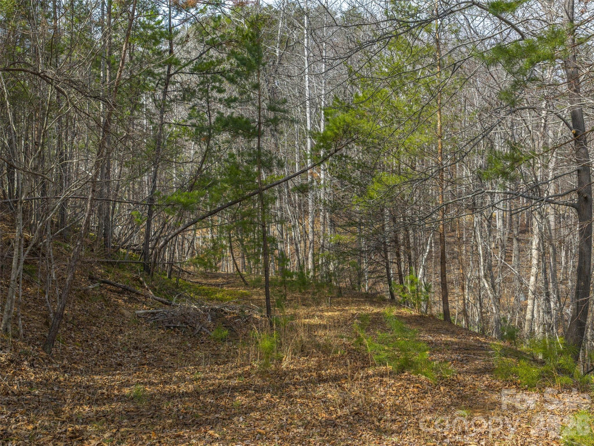 Lots 22 & 23 Lake Adger Parkway - Photo 6