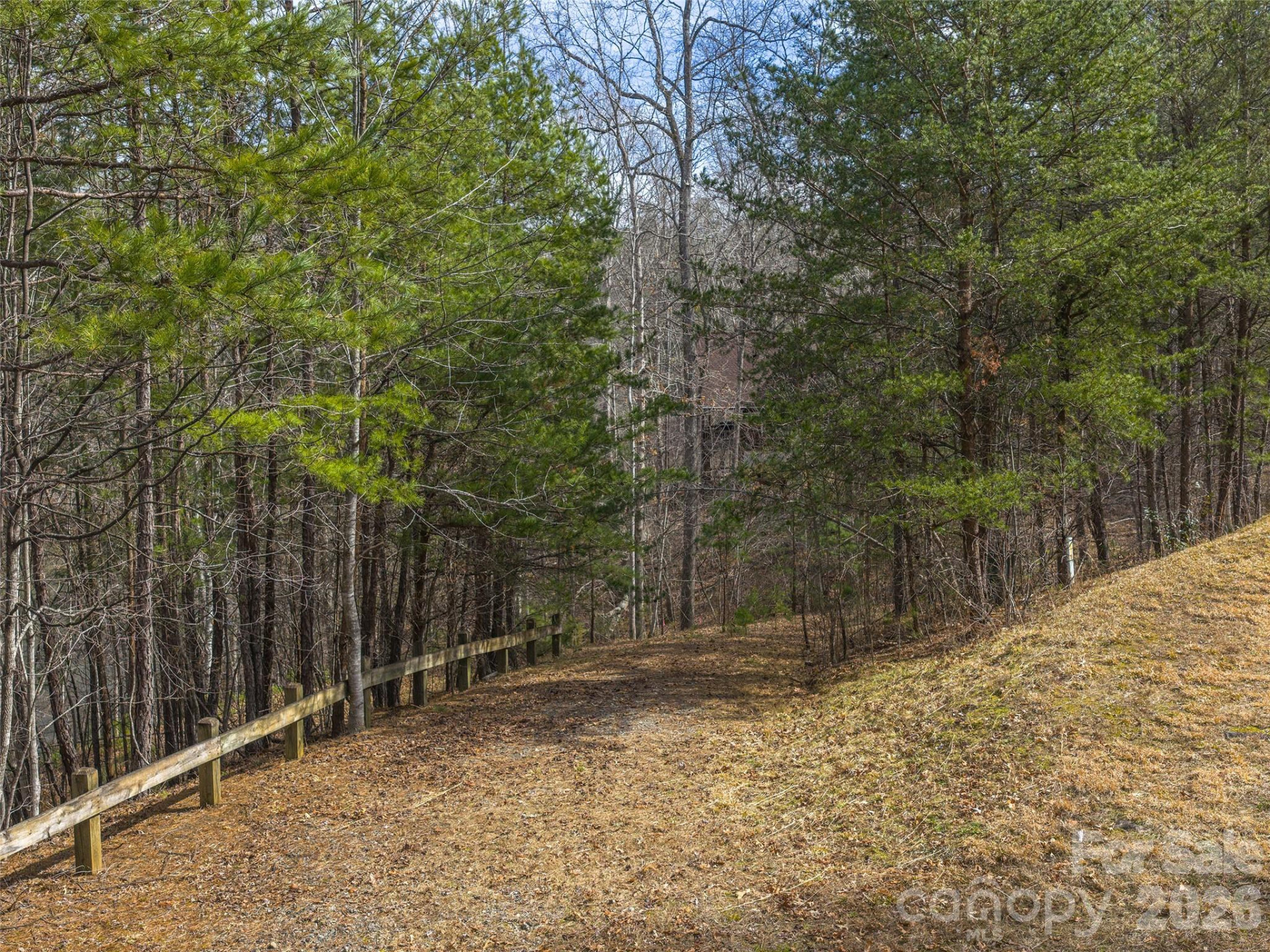 Lots 22 & 23 Lake Adger Parkway - Photo 7