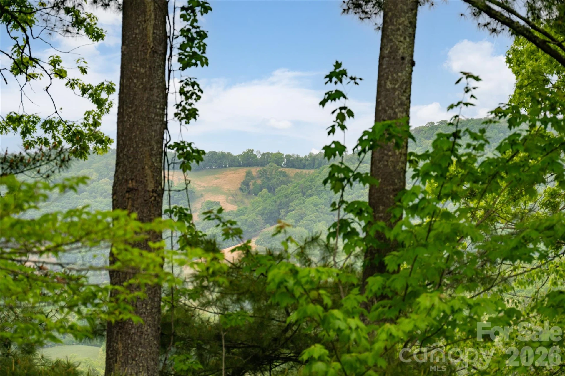 29 Longue Vue Lane - Photo 44