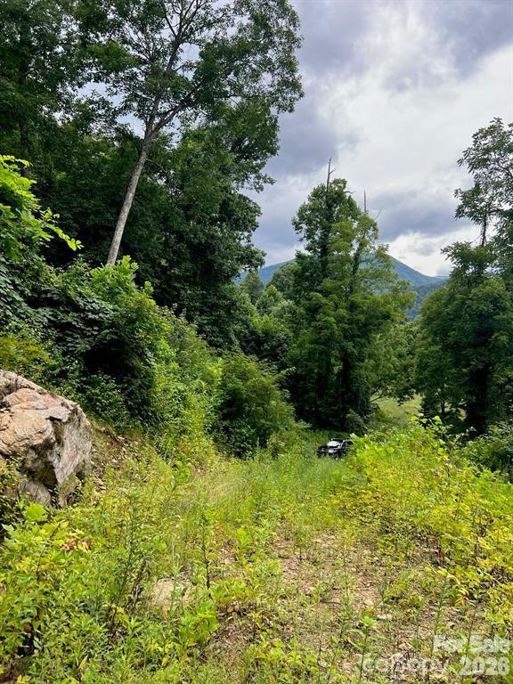 000 Shadyside Drive #8 - Photo 2