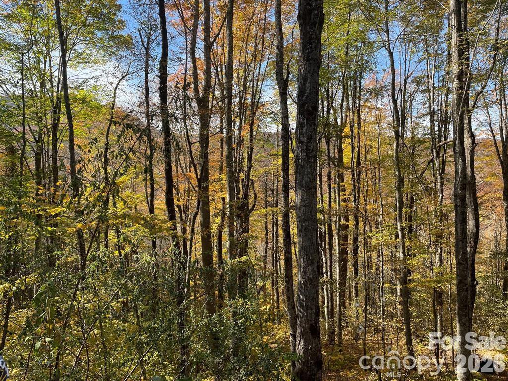 000 Shadyside Drive #8 - Photo 11