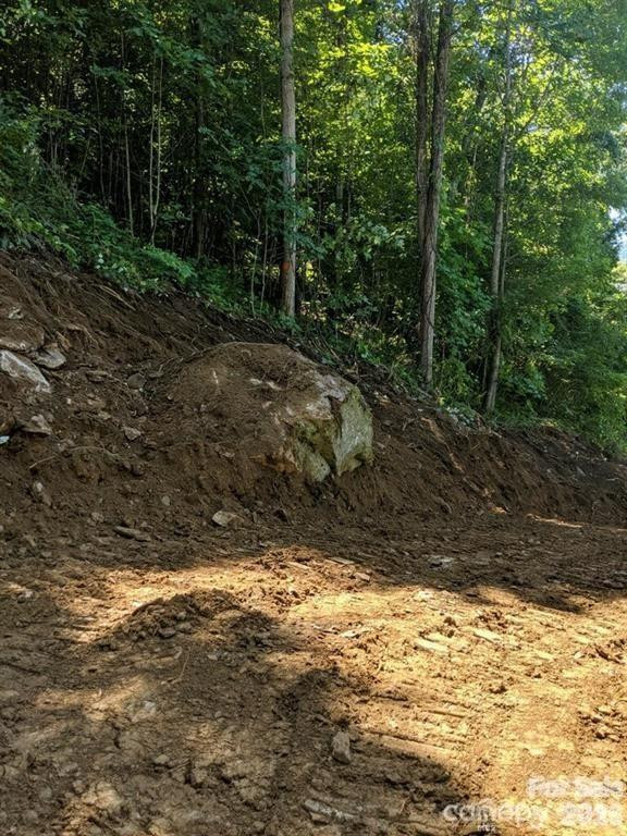 000 Shadyside Drive #8 - Photo 8