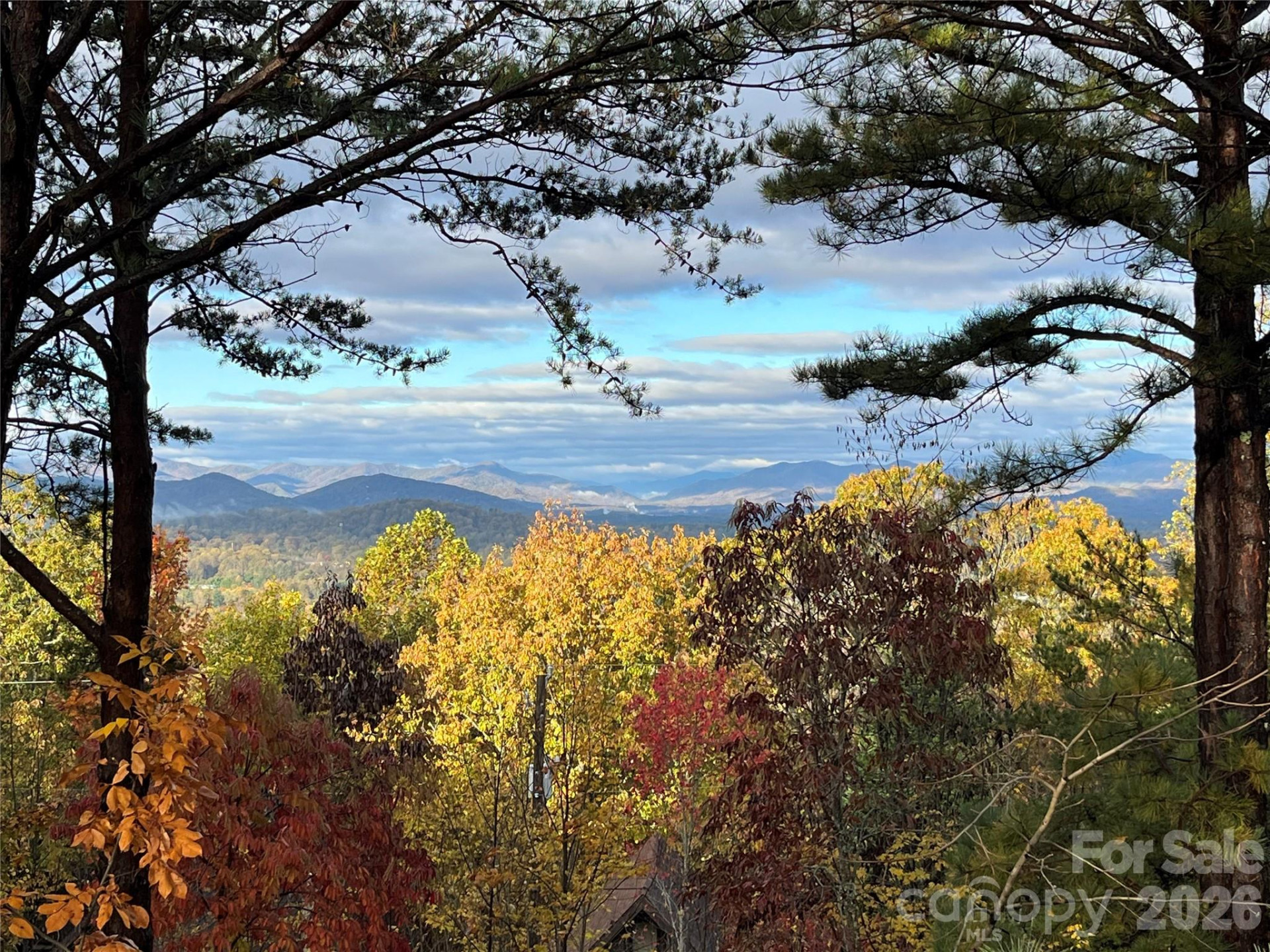 105 Avondale Heights Road - Photo 5