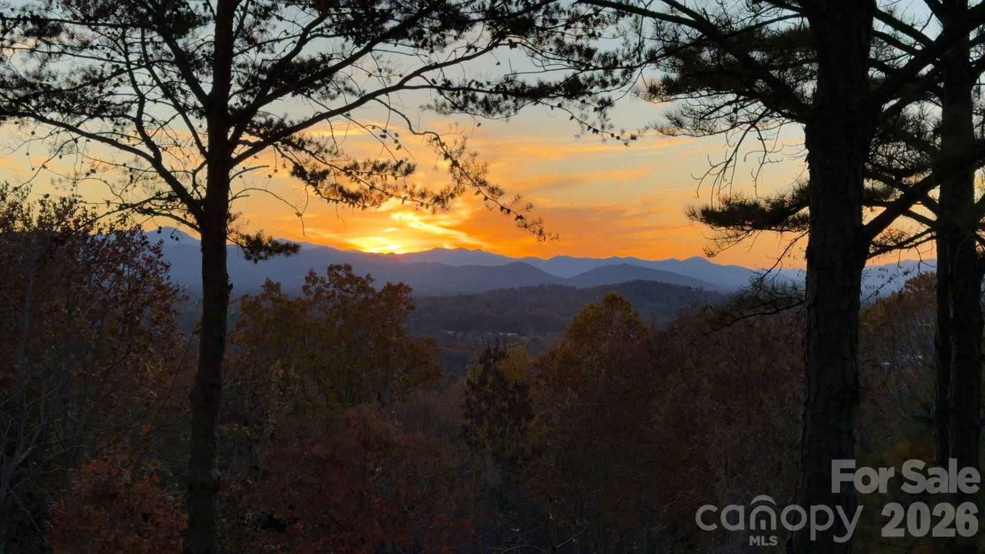 105 Avondale Heights Road - Photo 6