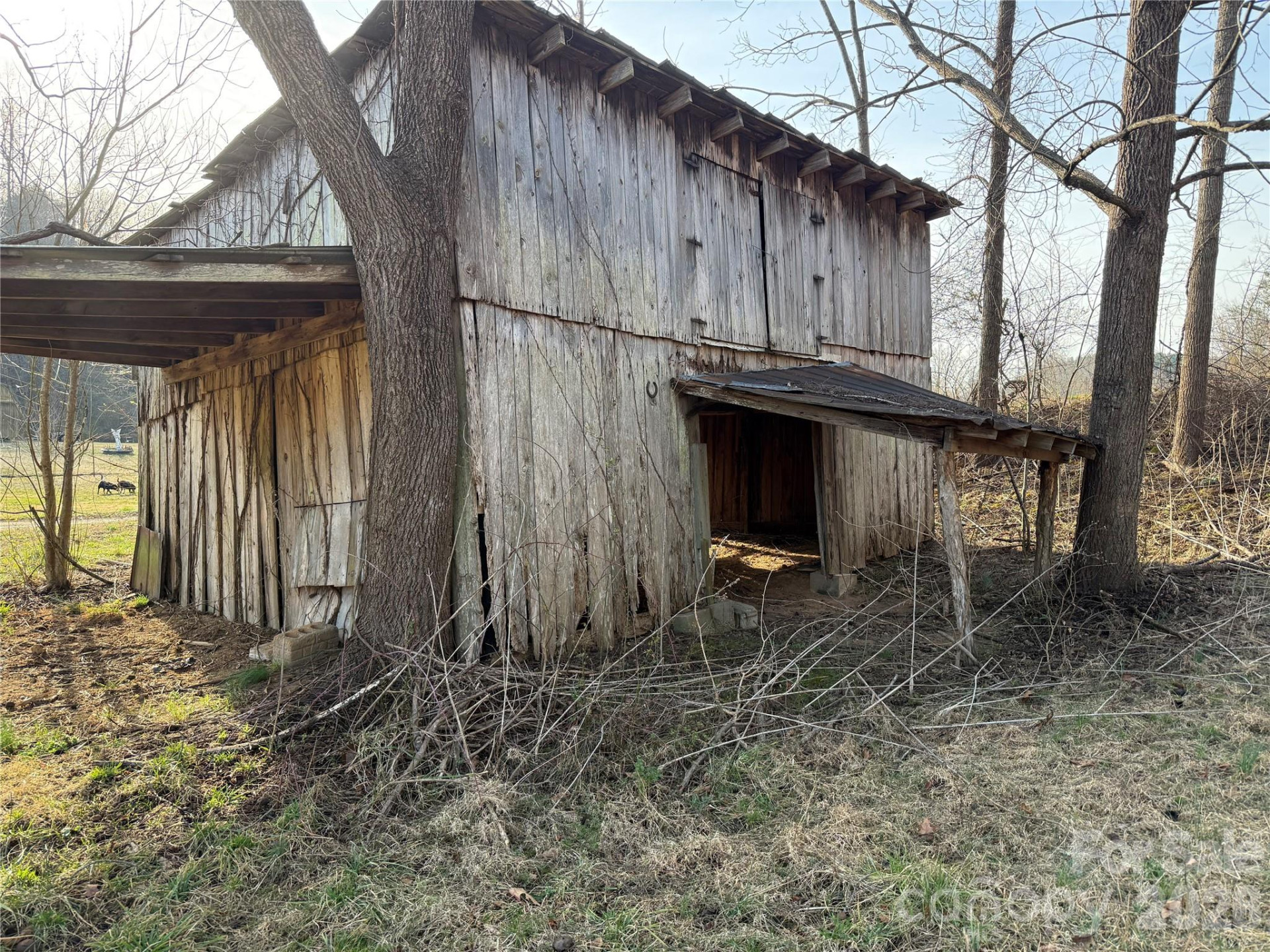 V/L US 221 Highway - Photo 2