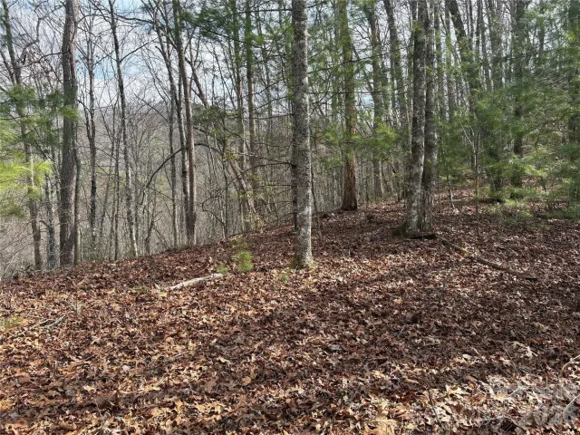 00 Round Hill Road, Bryson City, NC, 28713