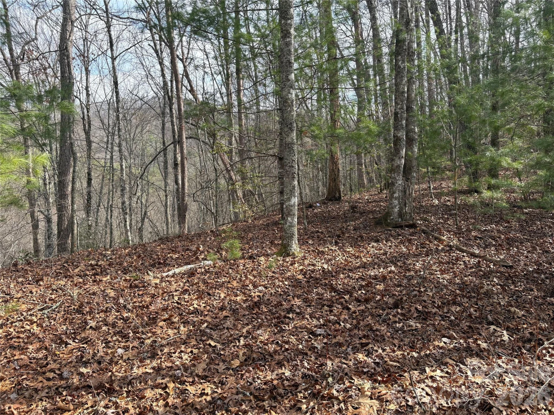 00 Round Hill Road #14