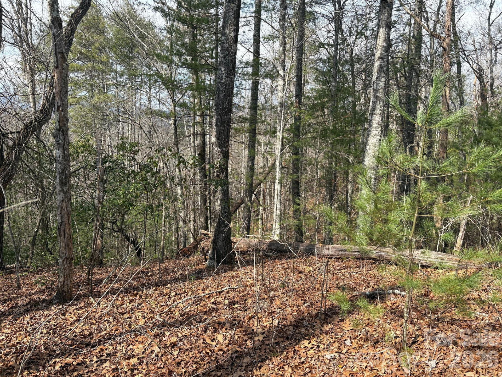 00 Round Hill Road #14 - Photo 2