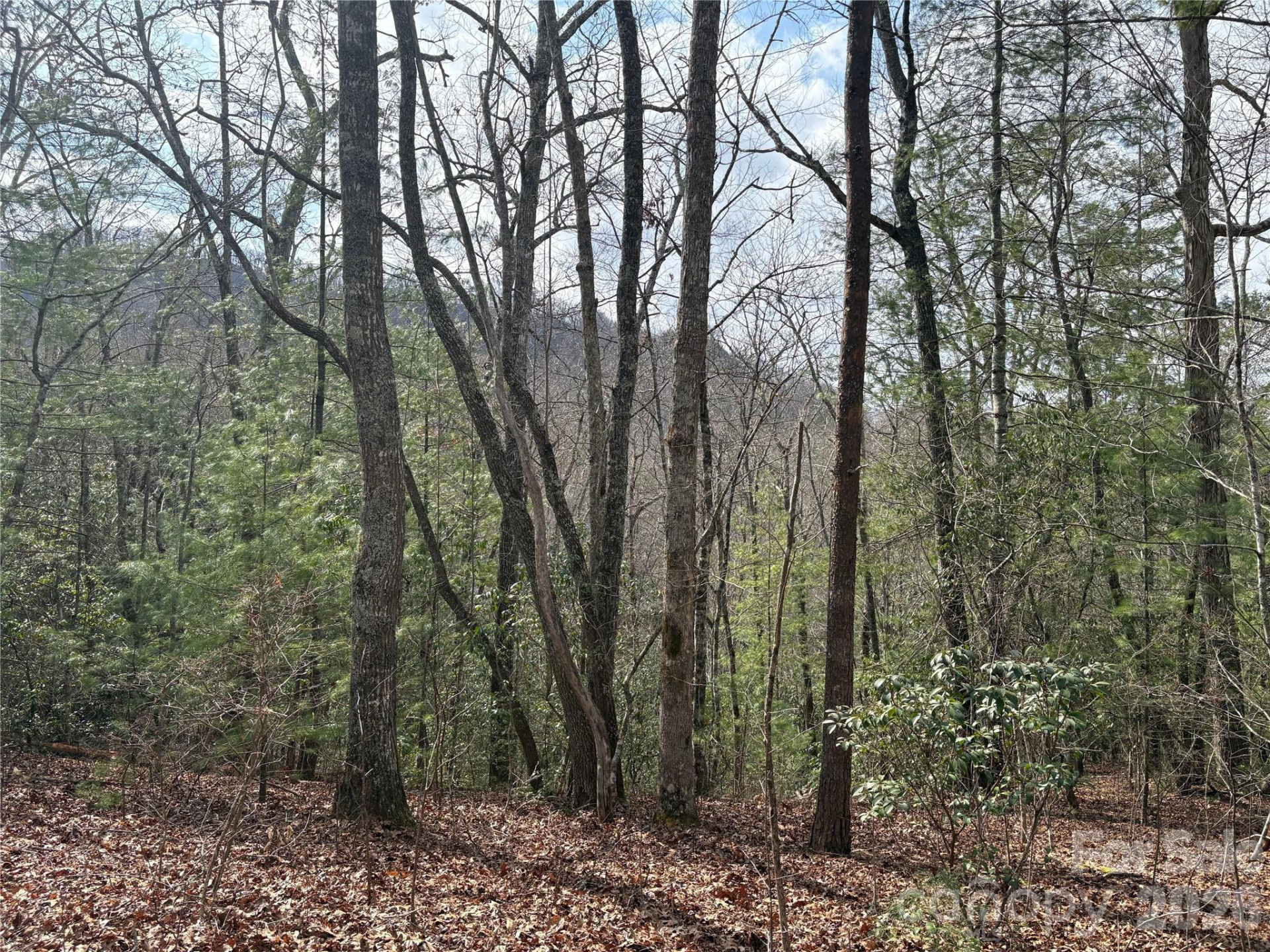 00 Round Hill Road #14 - Photo 11