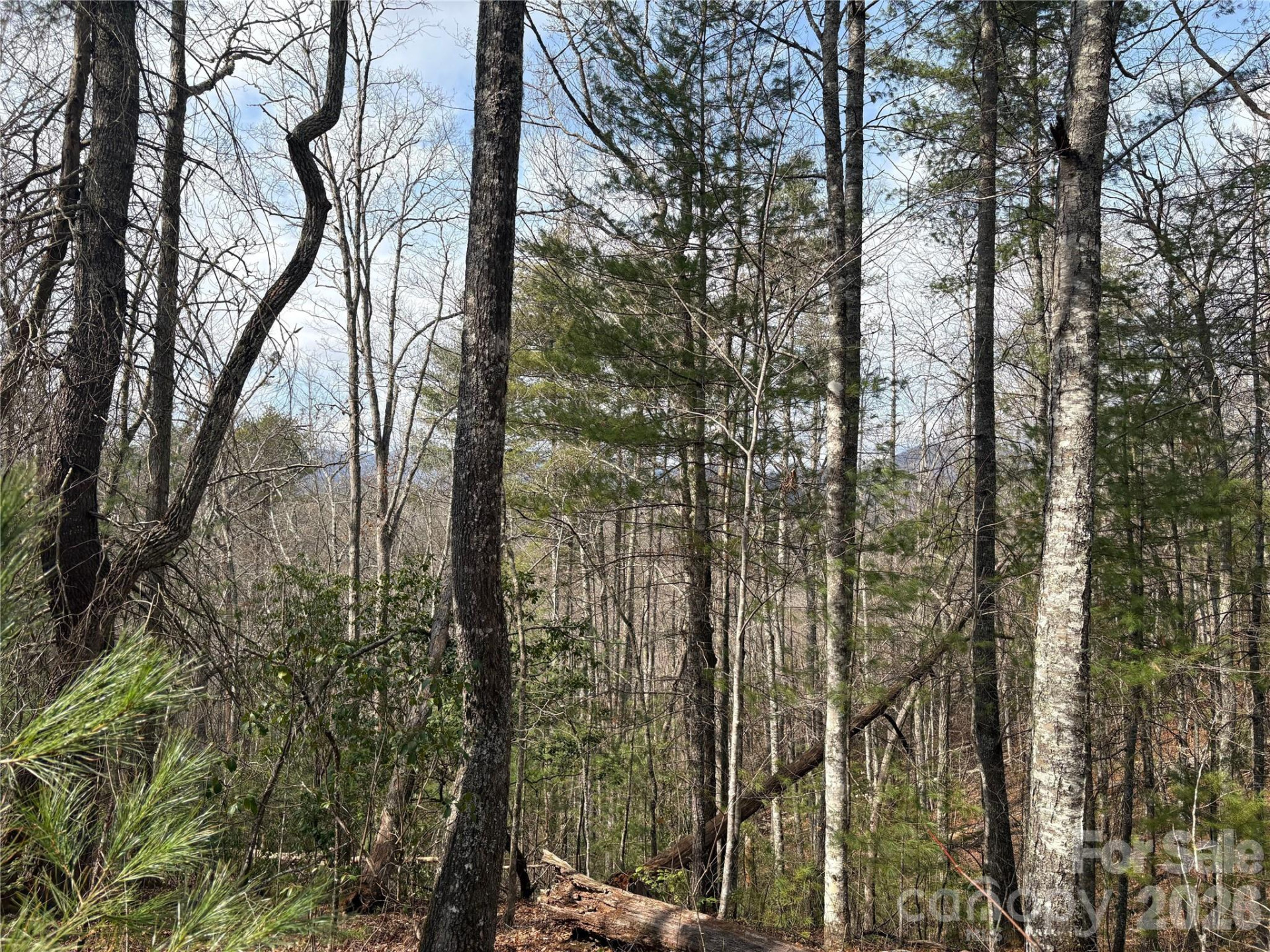 00 Round Hill Road #14 - Photo 12