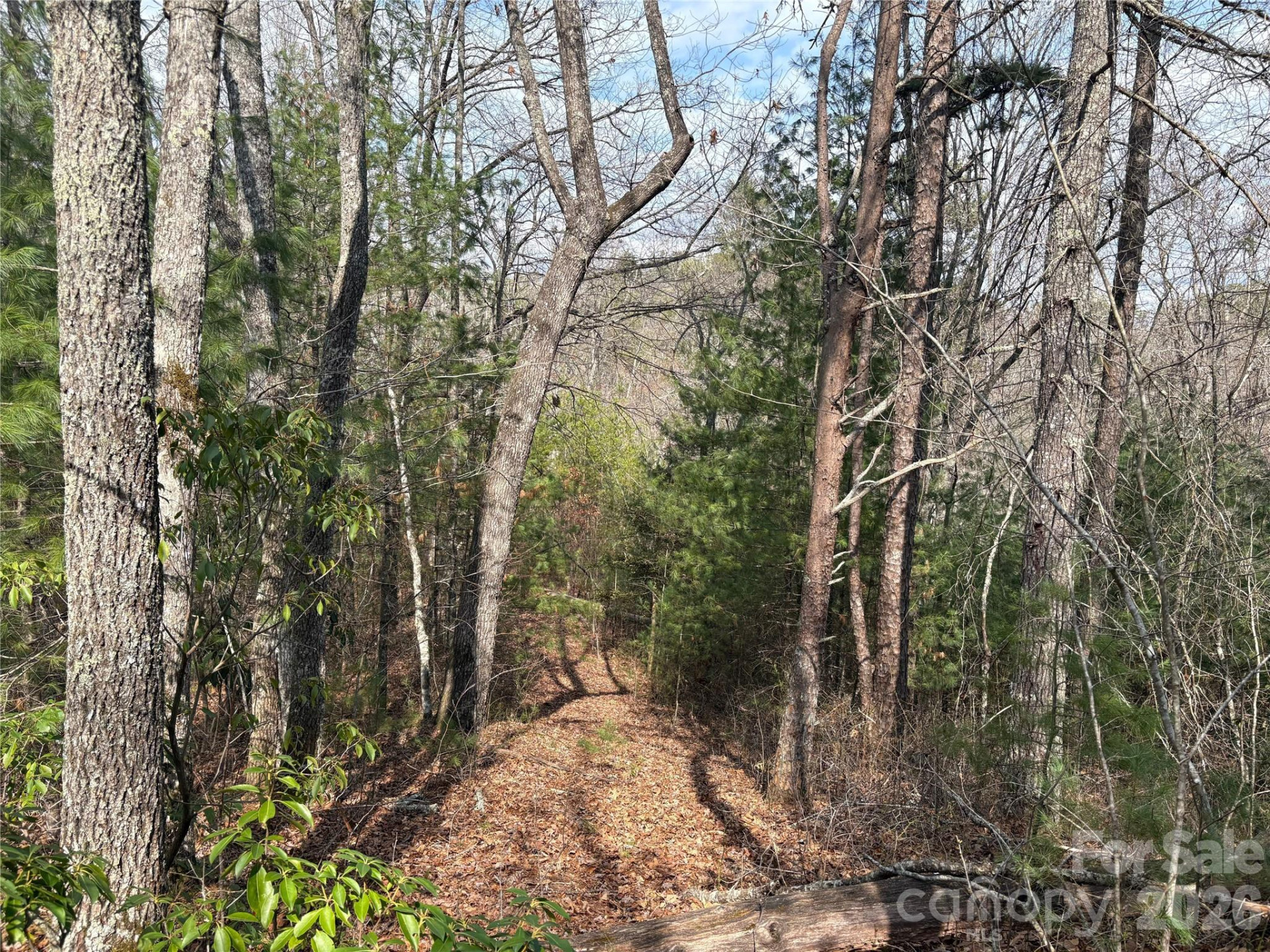 00 Round Hill Road #14 - Photo 13