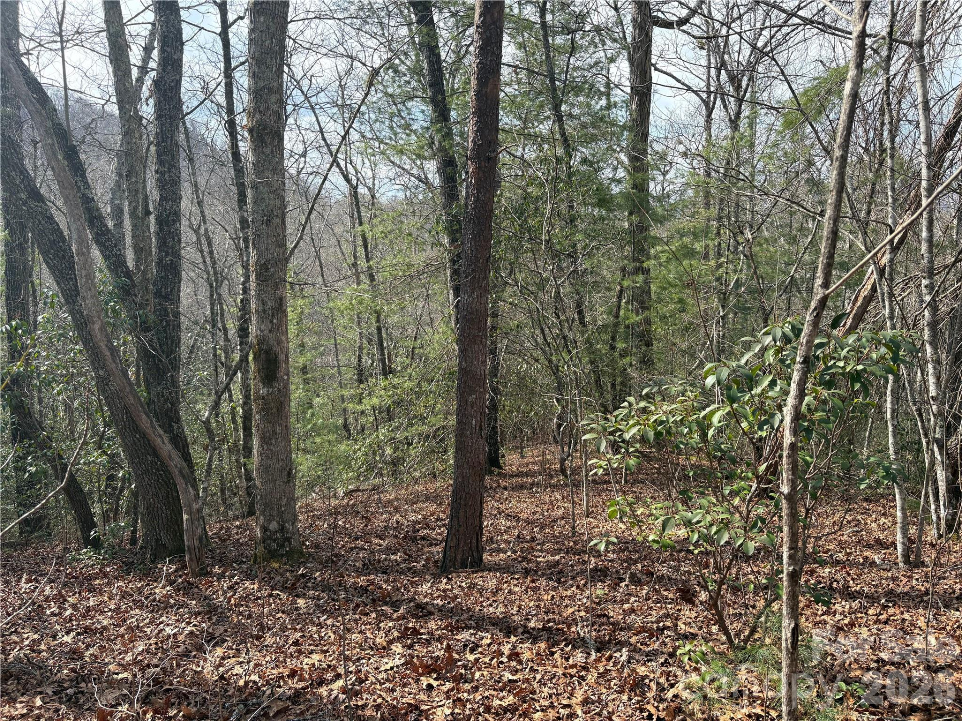 00 Round Hill Road #14 - Photo 14