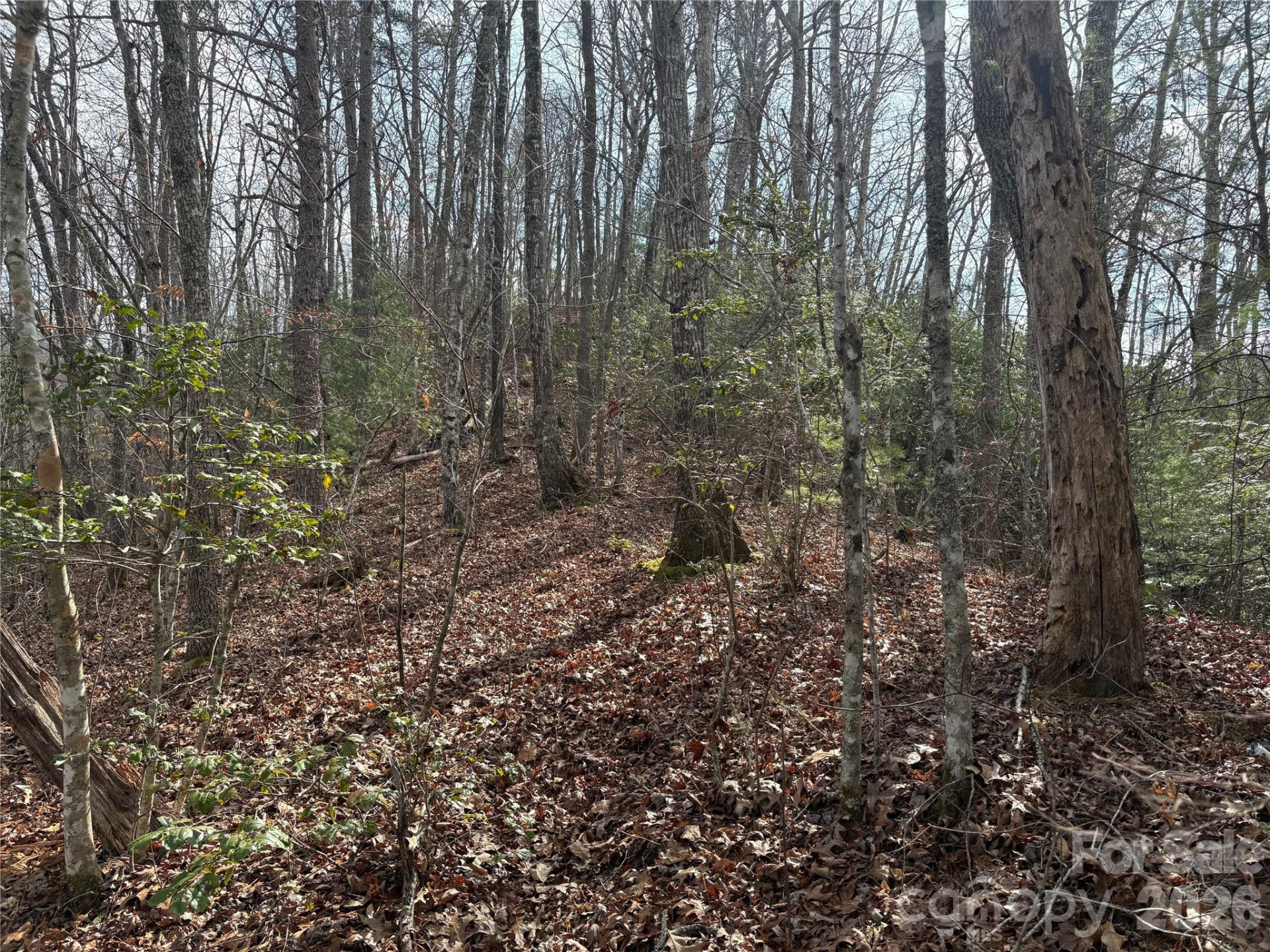 00 Round Hill Road #14 - Photo 15