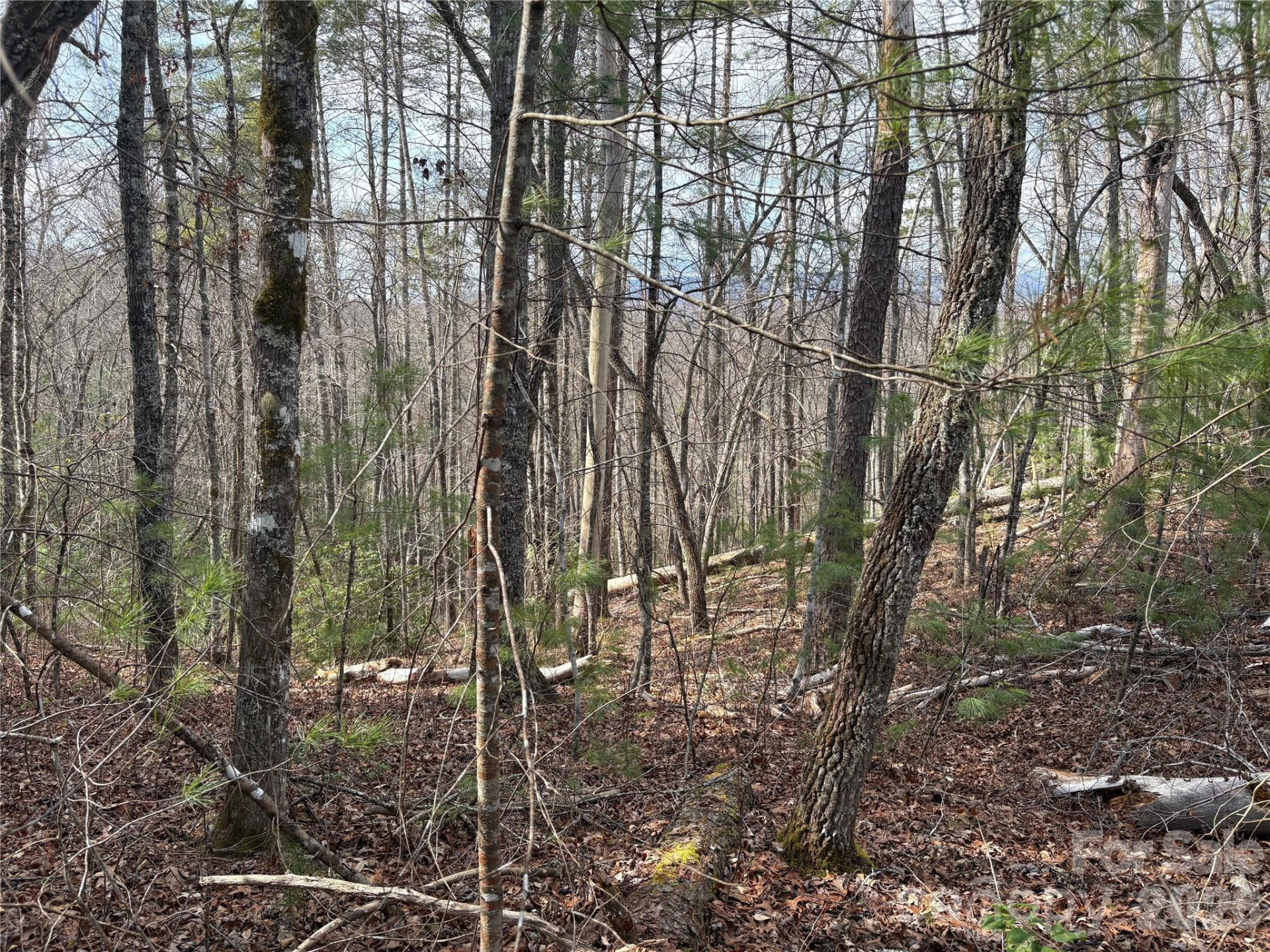 00 Round Hill Road #14 - Photo 16