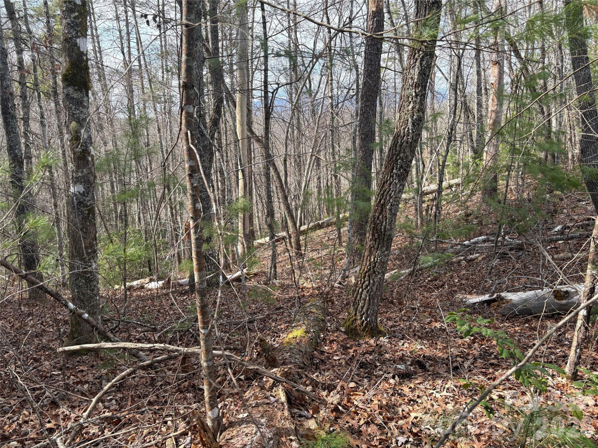 00 Round Hill Road #14 - Photo 17