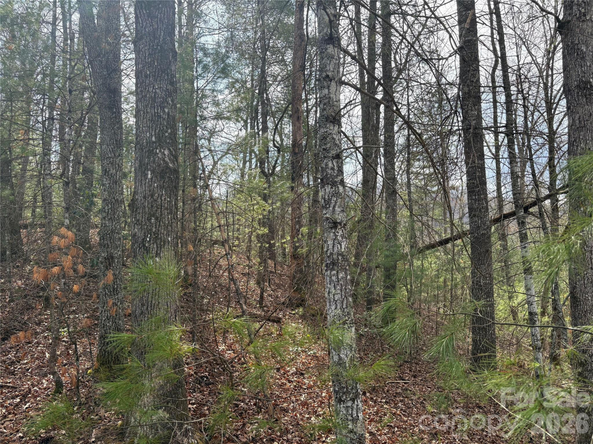 00 Round Hill Road #14 - Photo 18