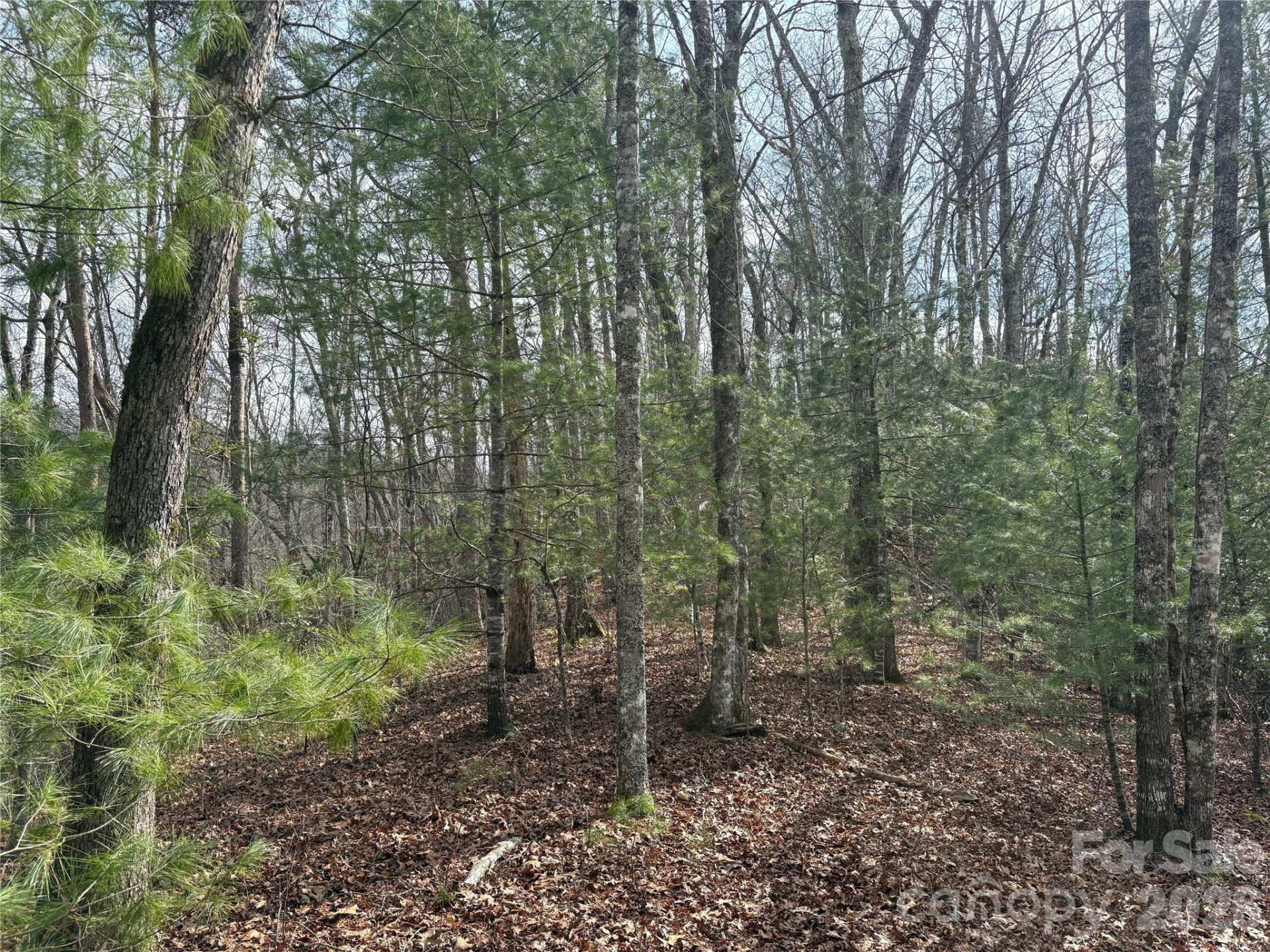 00 Round Hill Road #14 - Photo 3