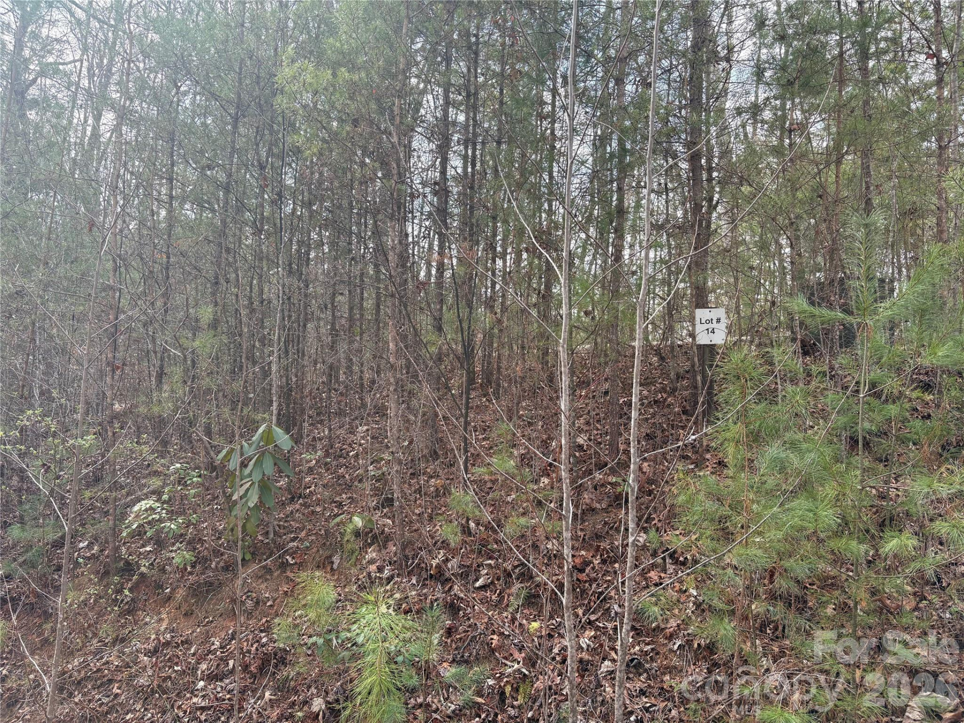 00 Round Hill Road #14 - Photo 24