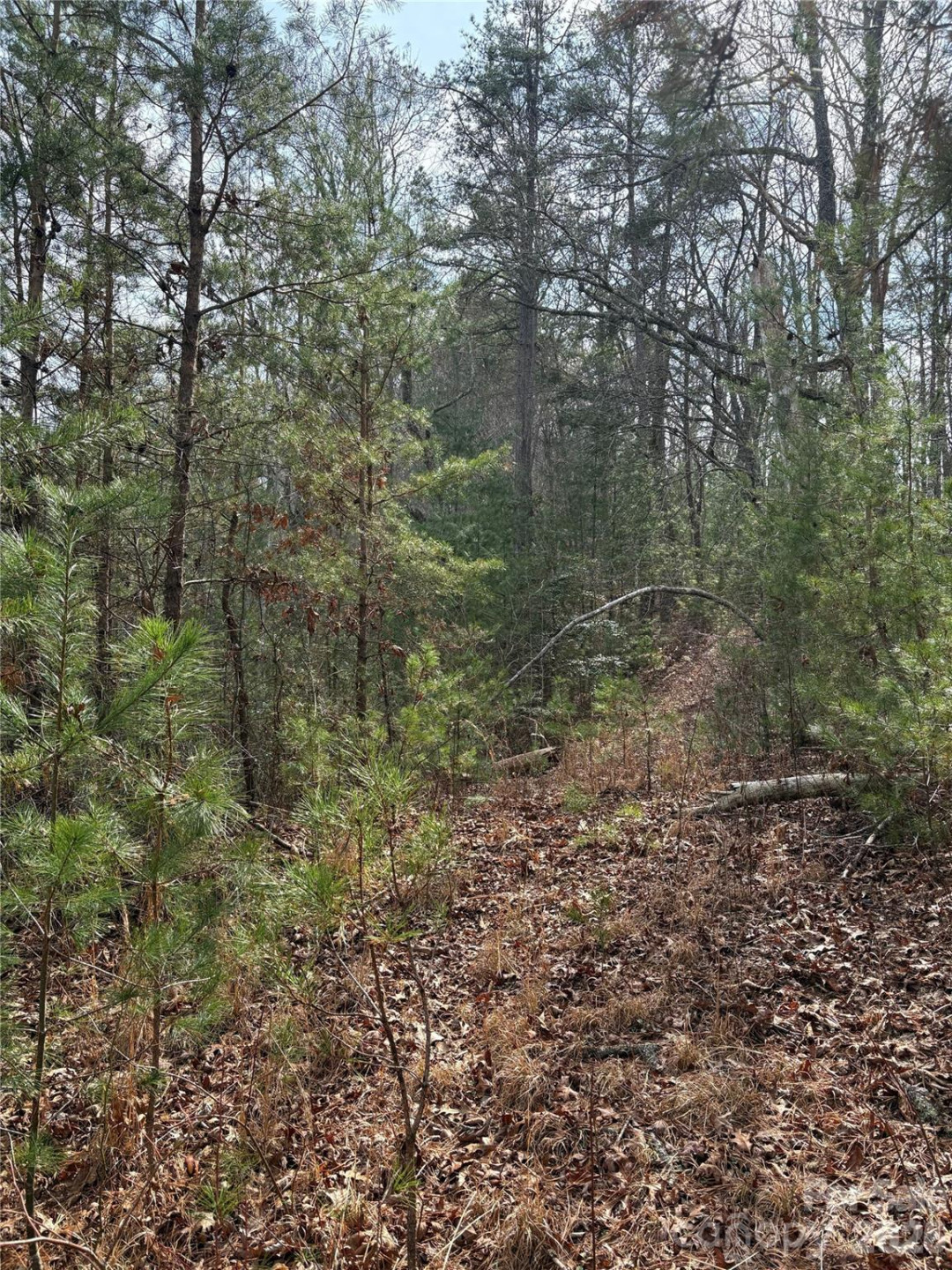 00 Round Hill Road #14 - Photo 25