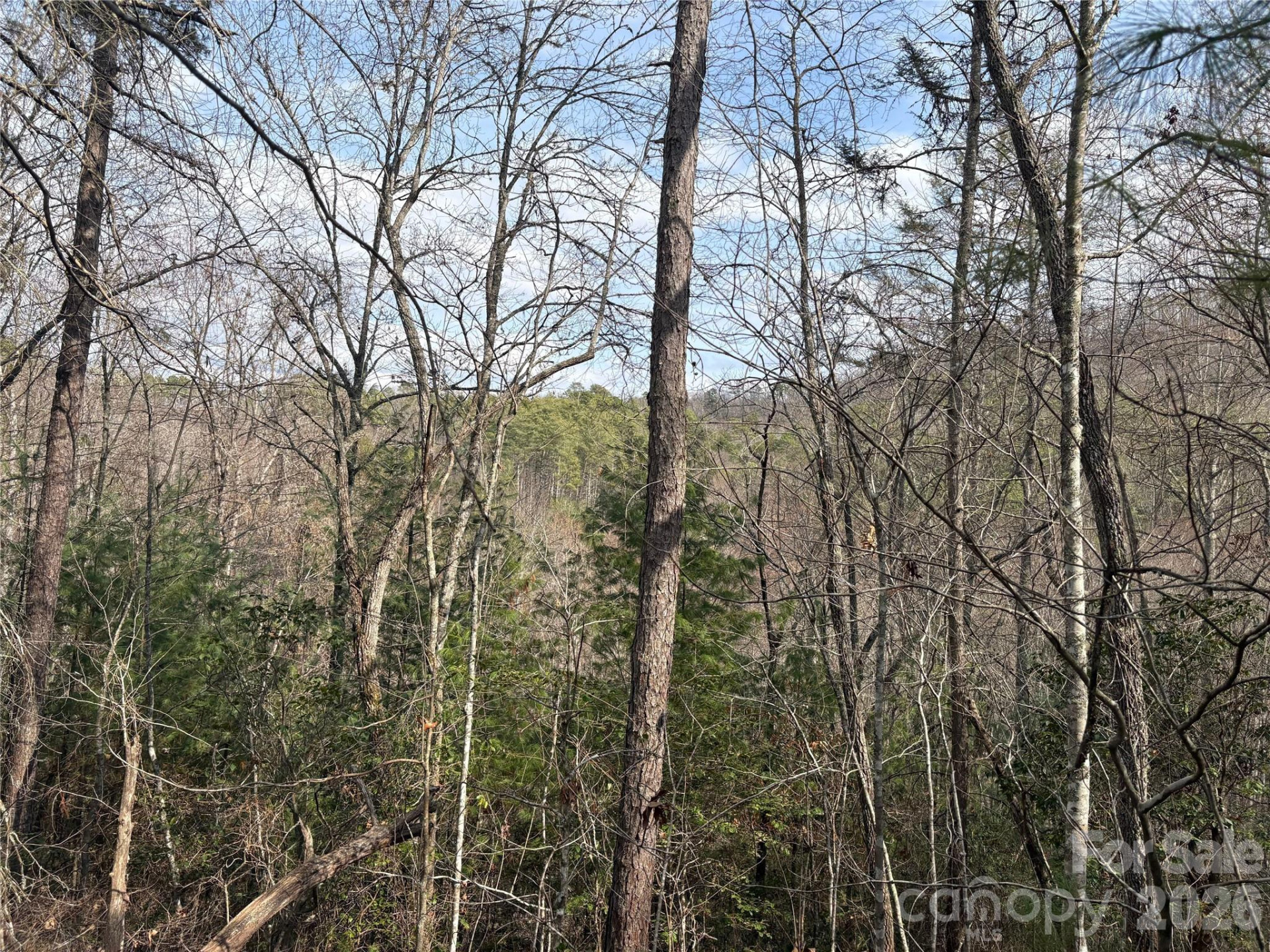 00 Round Hill Road #14 - Photo 4