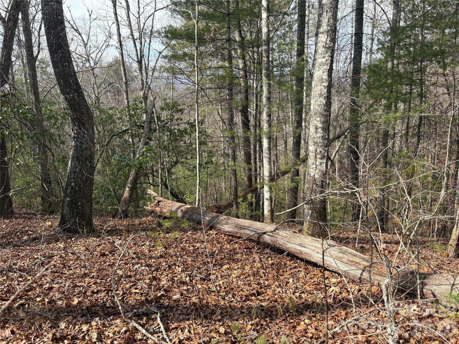 00 Round Hill Road #14 - Photo 5