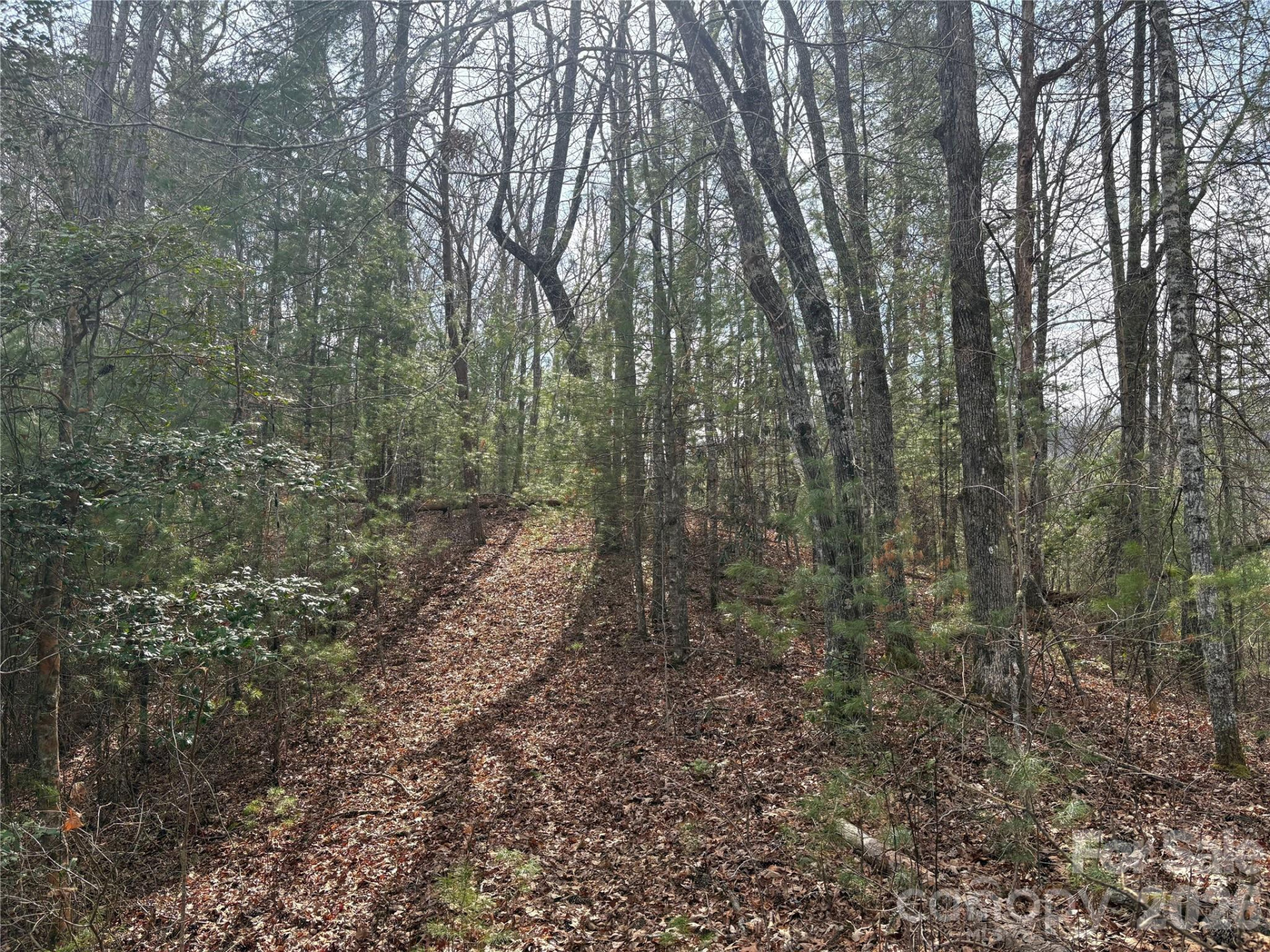 00 Round Hill Road #14 - Photo 6