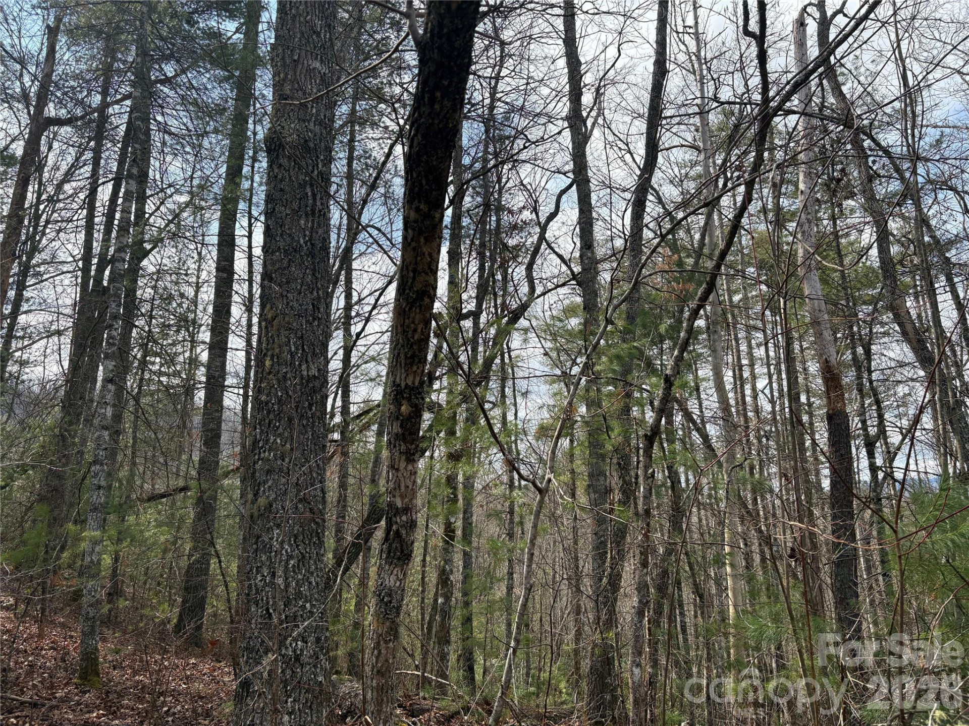 00 Round Hill Road #14 - Photo 7