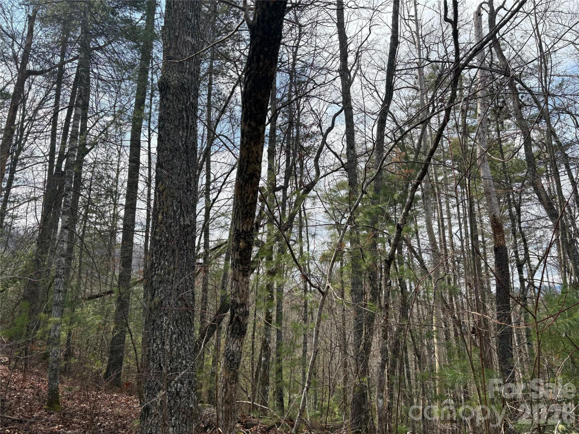 00 Round Hill Road #14 - Photo 7