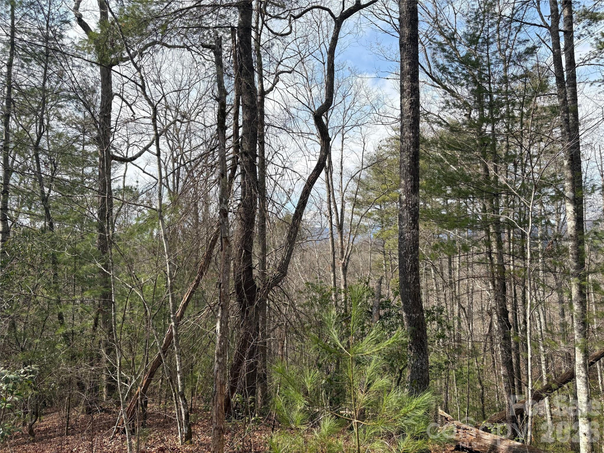 00 Round Hill Road #14 - Photo 8