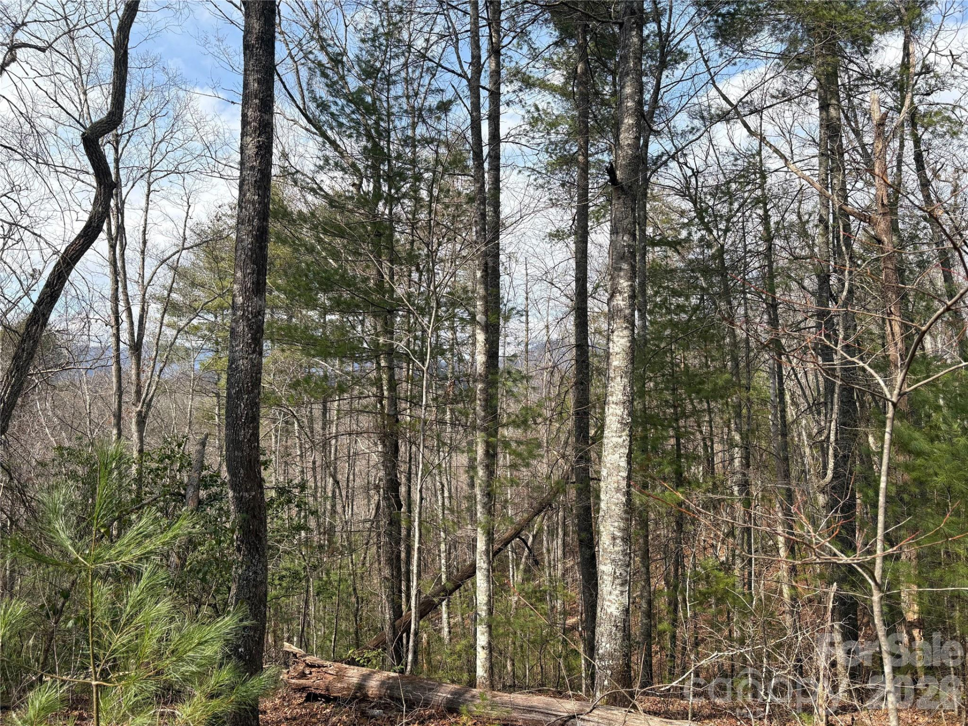 00 Round Hill Road #14 - Photo 9