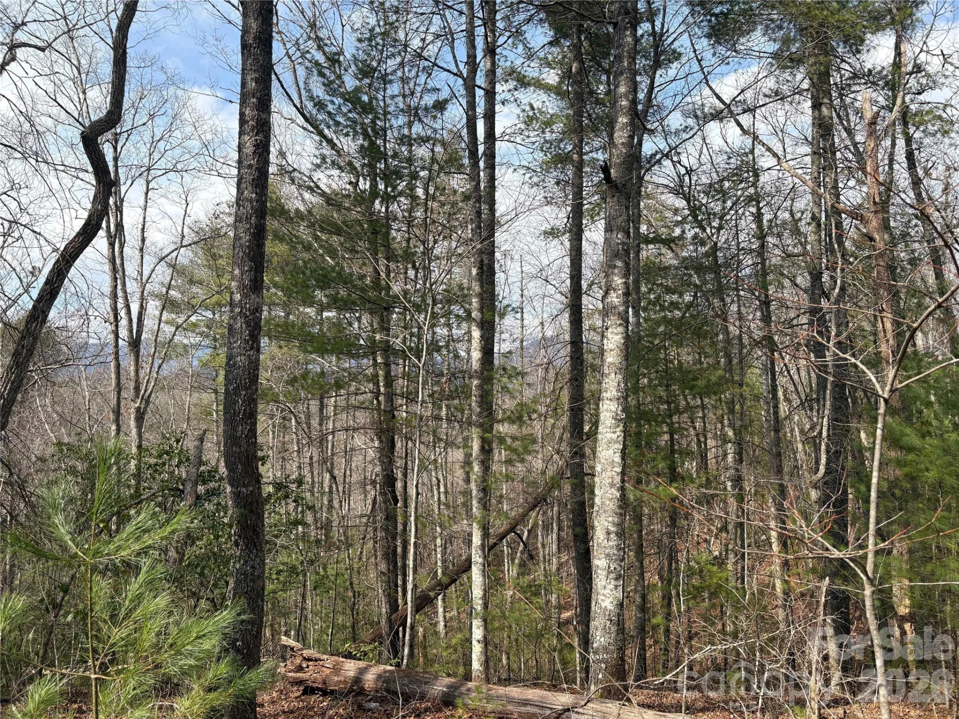 00 Round Hill Road #14 - Photo 9