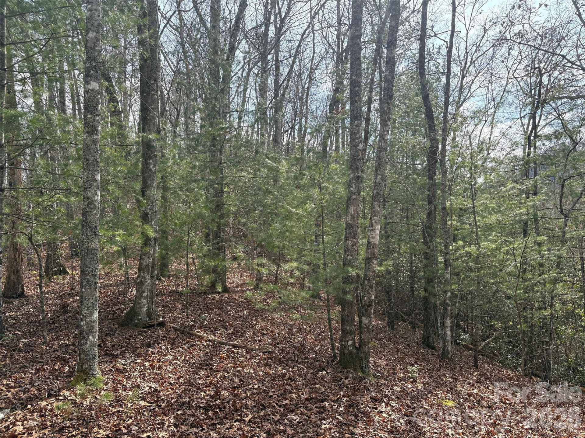 00 Round Hill Road #14 - Photo 10