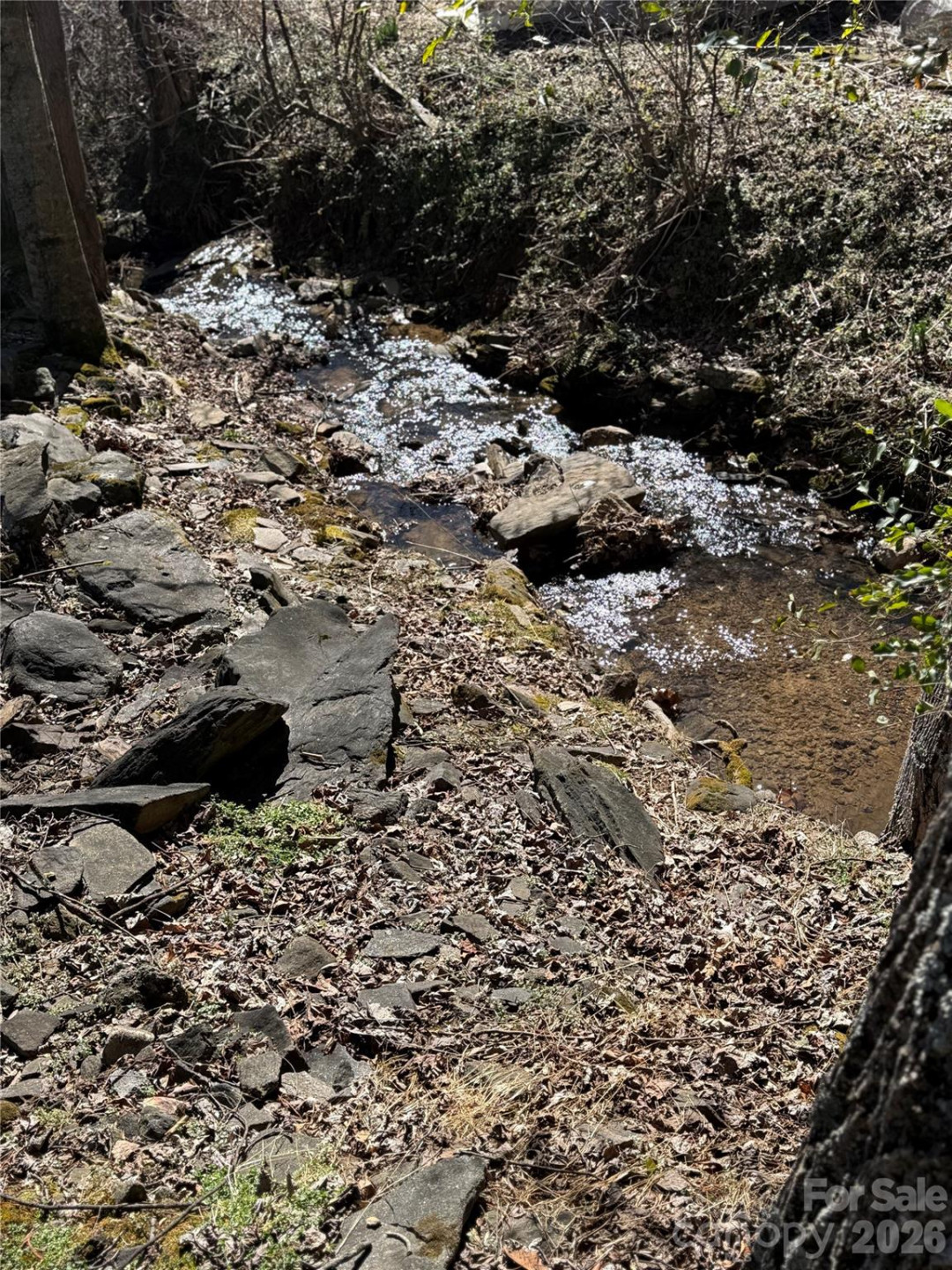 215 Pinellas Lane - Photo 9