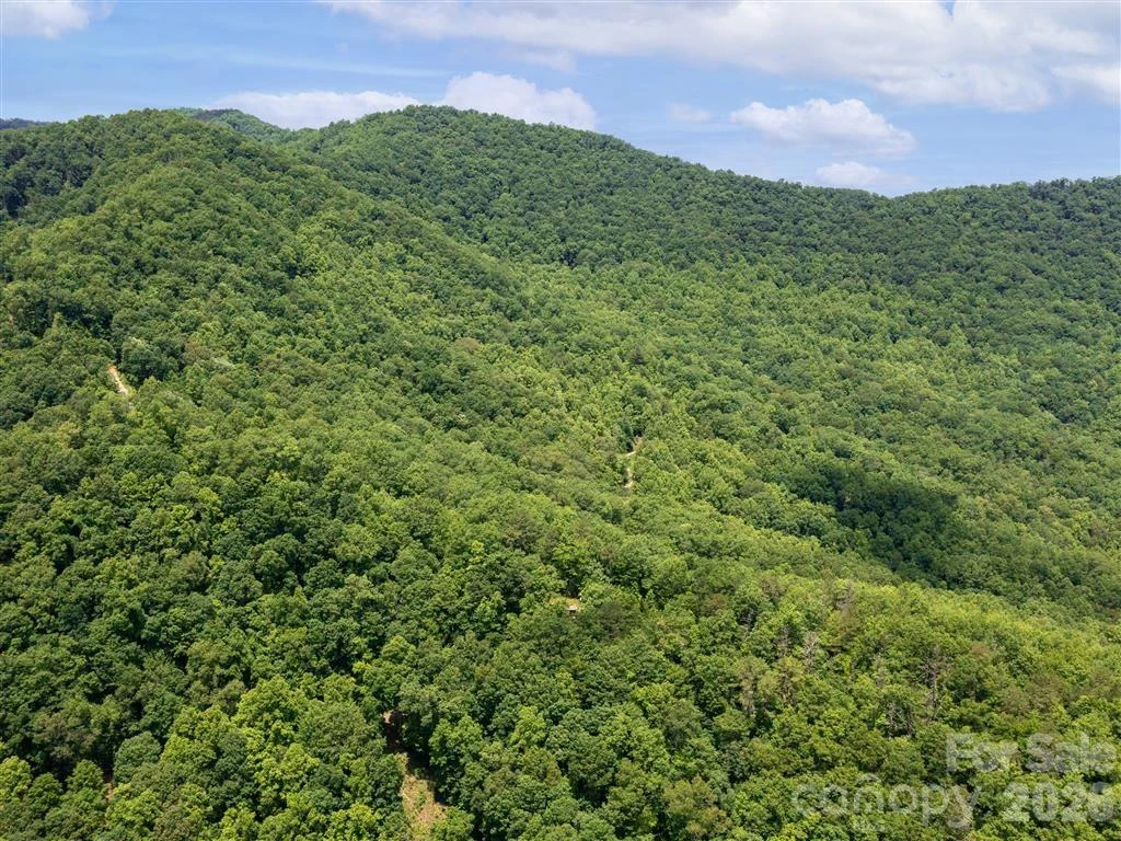 21 Long Winding Road #4,5 - Photo 13