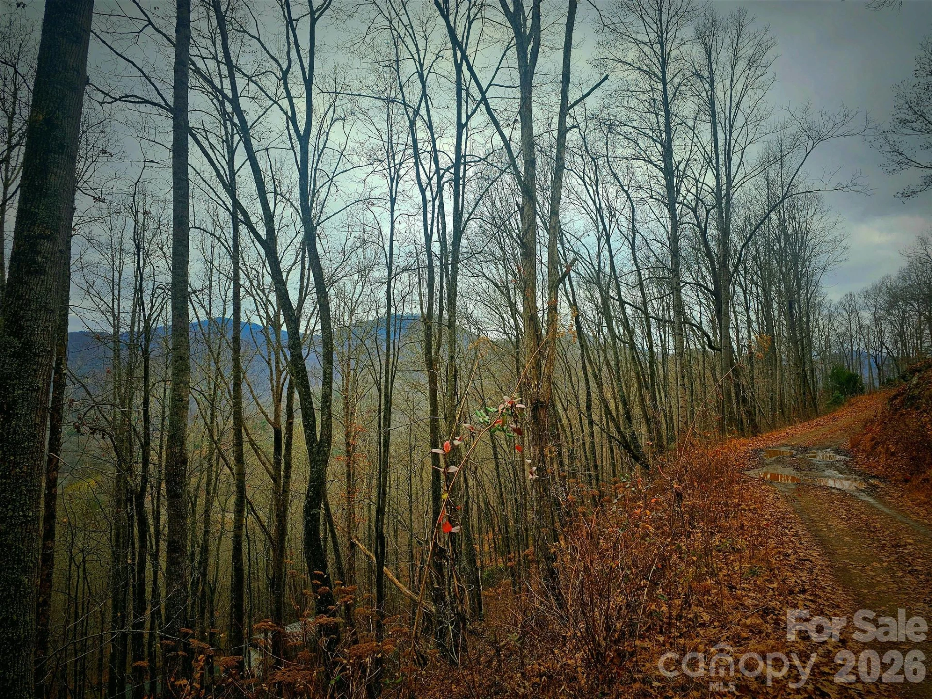 21 Long Winding Road #4,5 - Photo 9