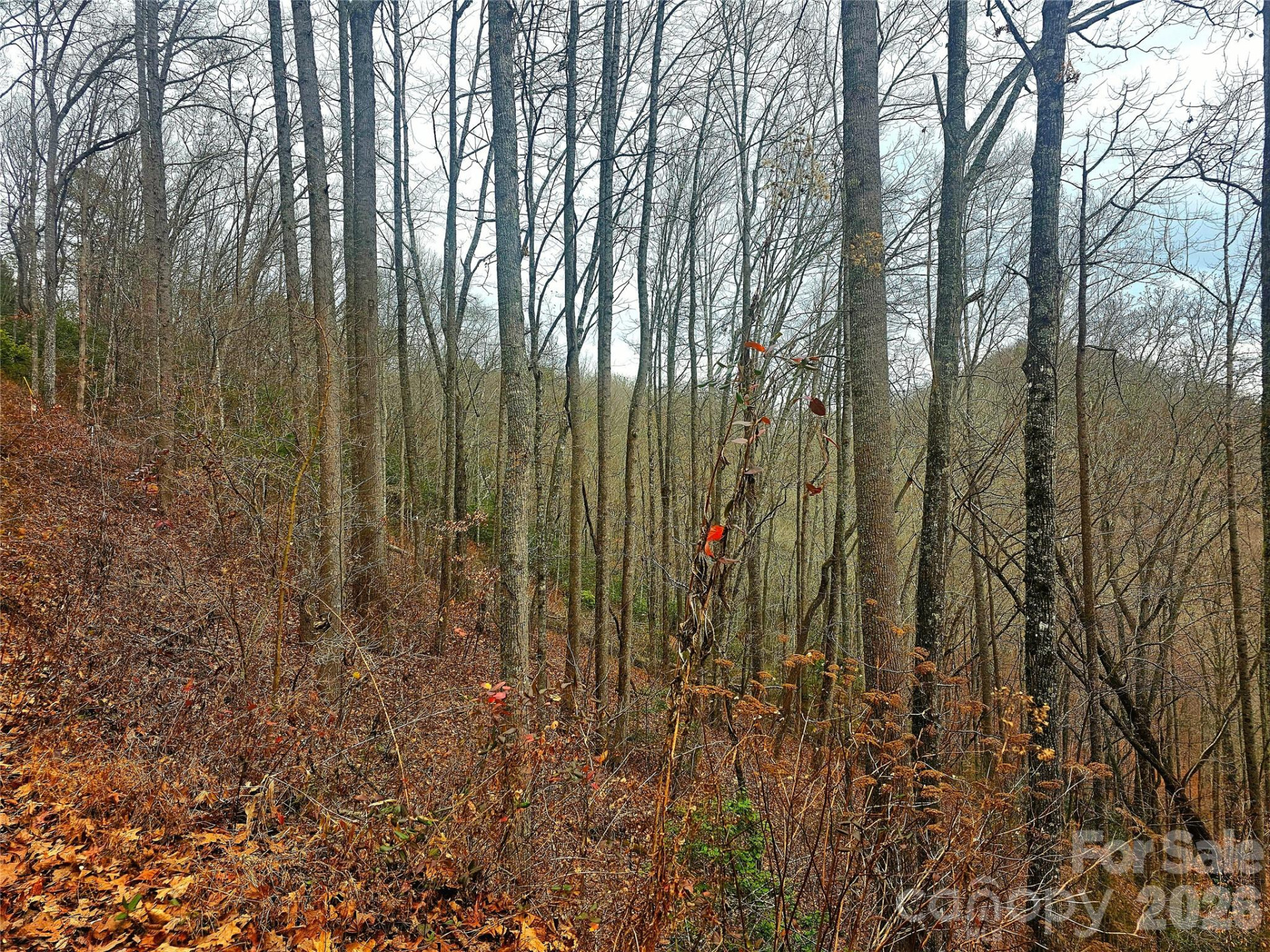 000 Quiet Cove Road #4,5,7,11,12,14,15 - Photo 20