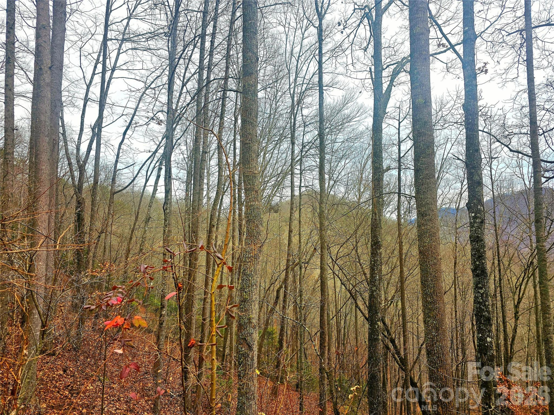 000 Quiet Cove Road #4,5,7,11,12,14,15 - Photo 21