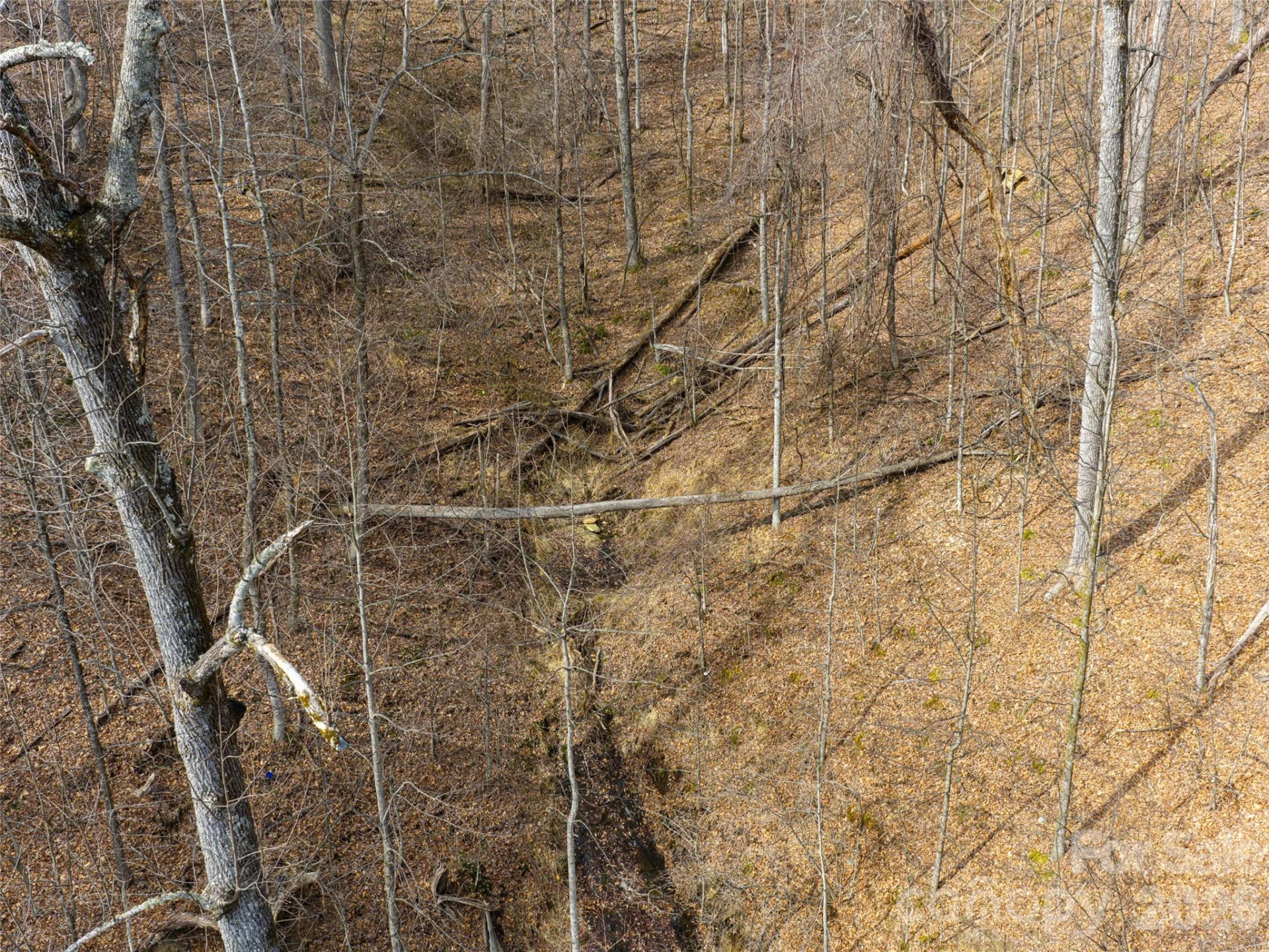 99999 NC 9 Highway - Photo 15
