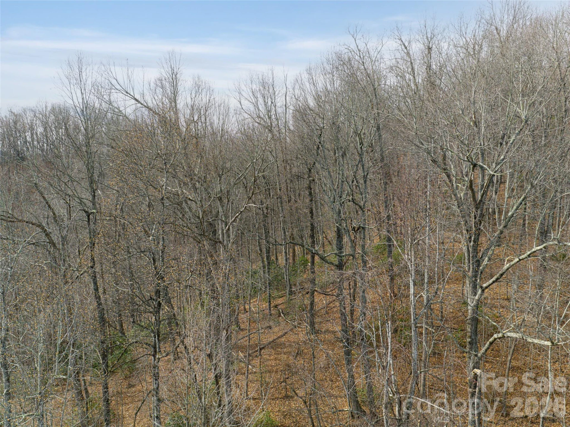 99999 NC 9 Highway - Photo 19