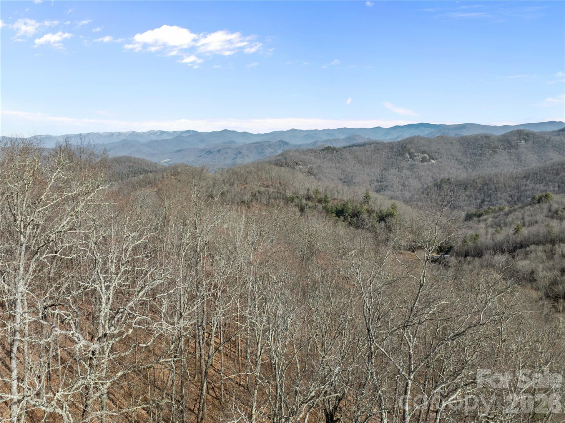 1 bridgestone Drive - Photo 8