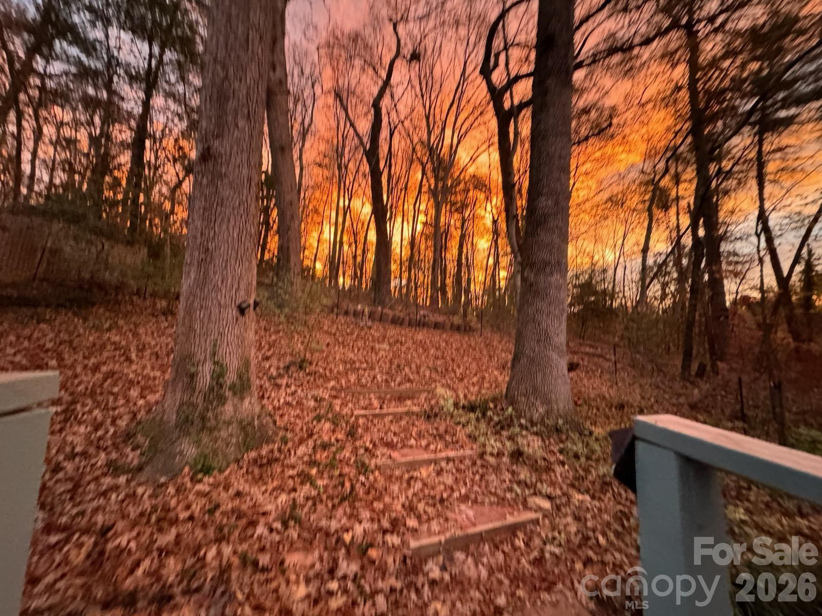 224 Beverly Road - Photo 33