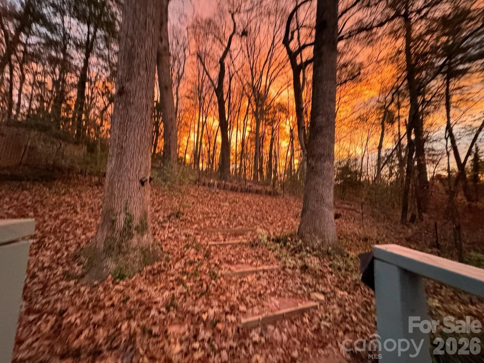 224 Beverly Road - Photo 33