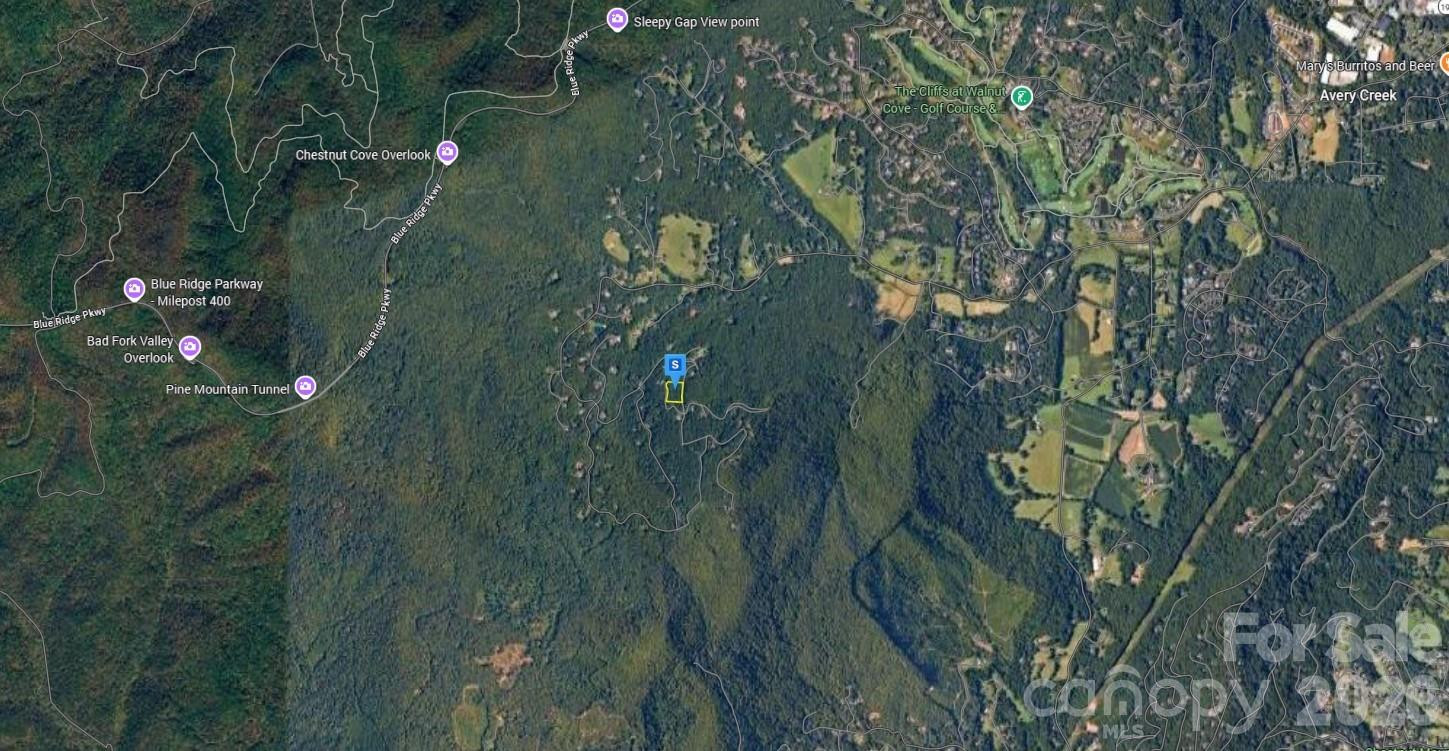 1229 Kanawa Lane - Photo 2