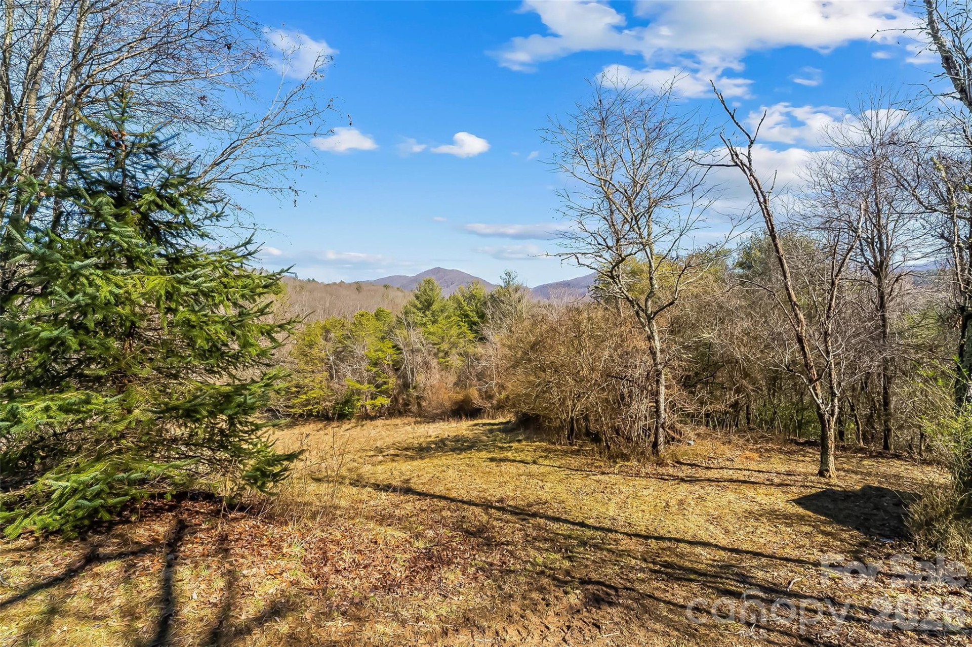 350 Sandy Bottom Road - Photo 20