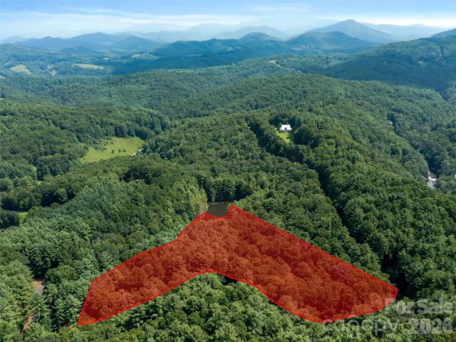 99999 Gordon Lane, Burnsville, NC, 28714