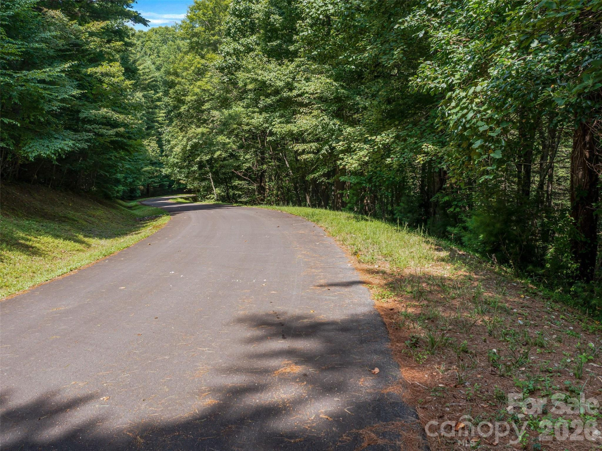 99999 Gordon Lane - Photo 11