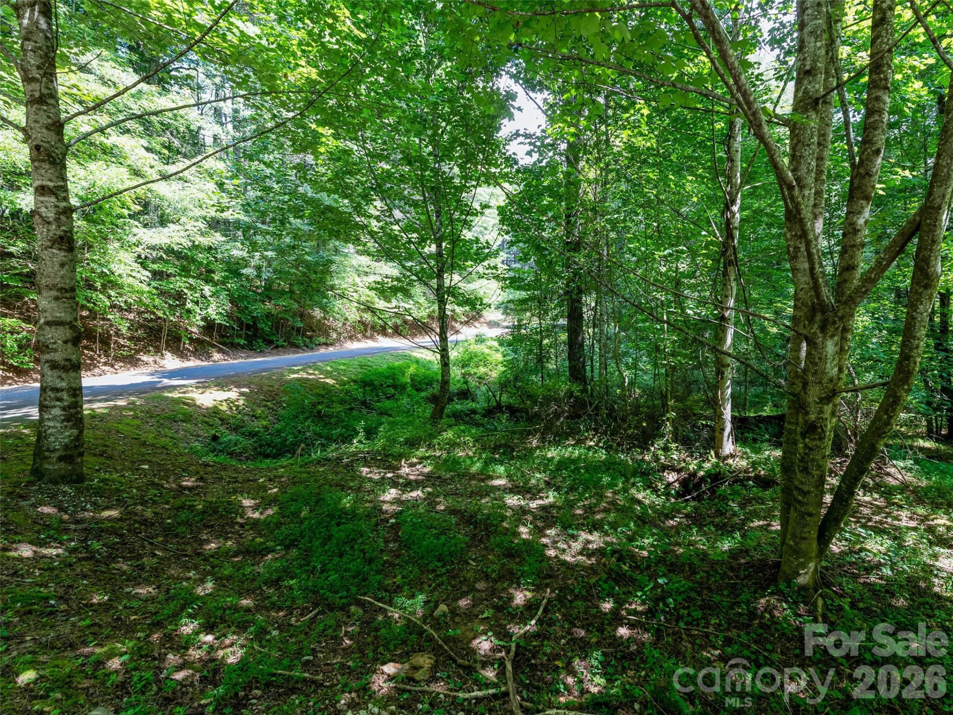 99999 Gordon Lane - Photo 14