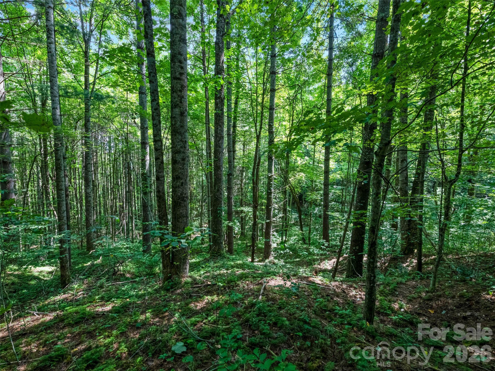 99999 Gordon Lane - Photo 4