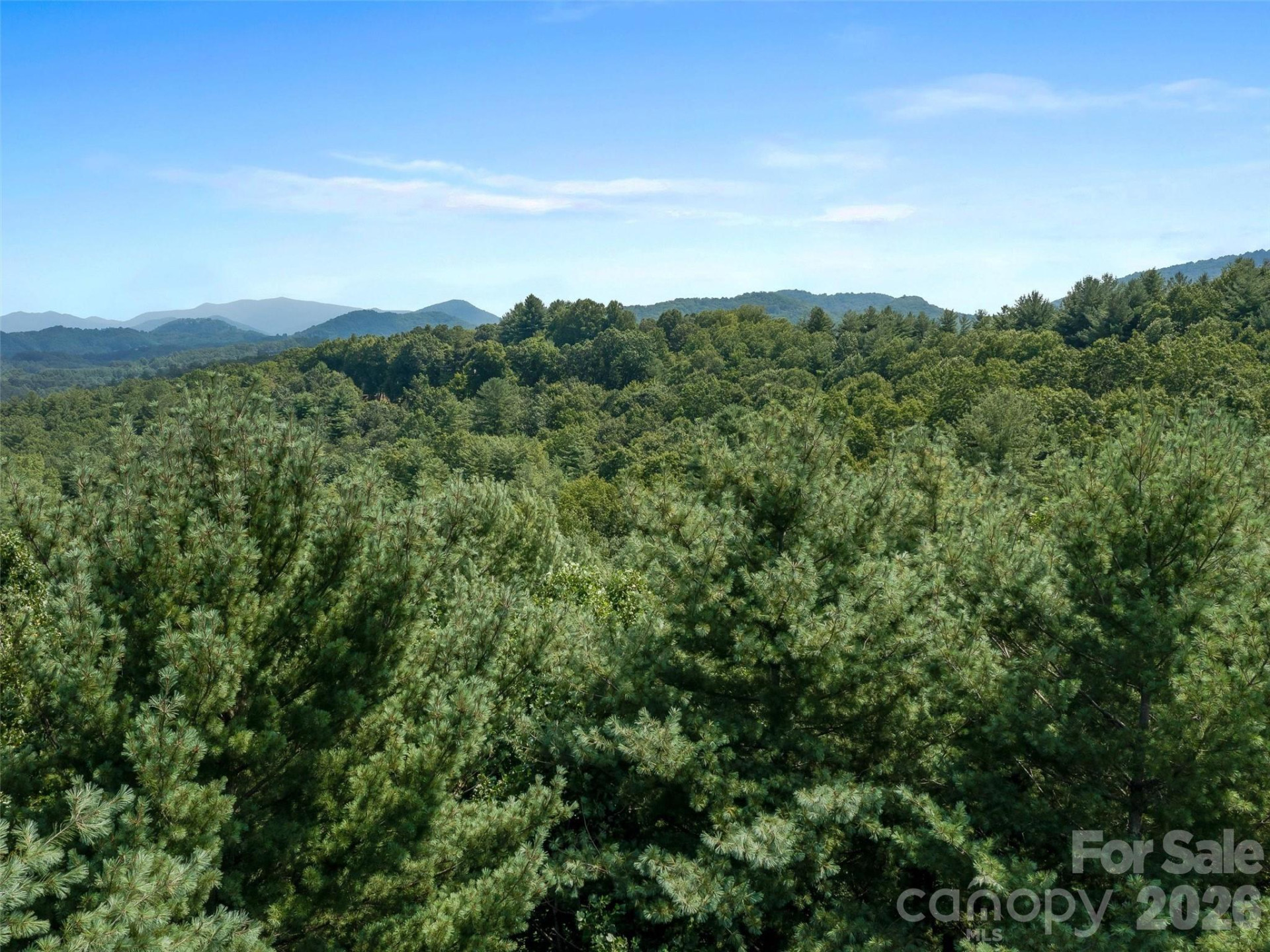 99999 Gordon Lane - Photo 5