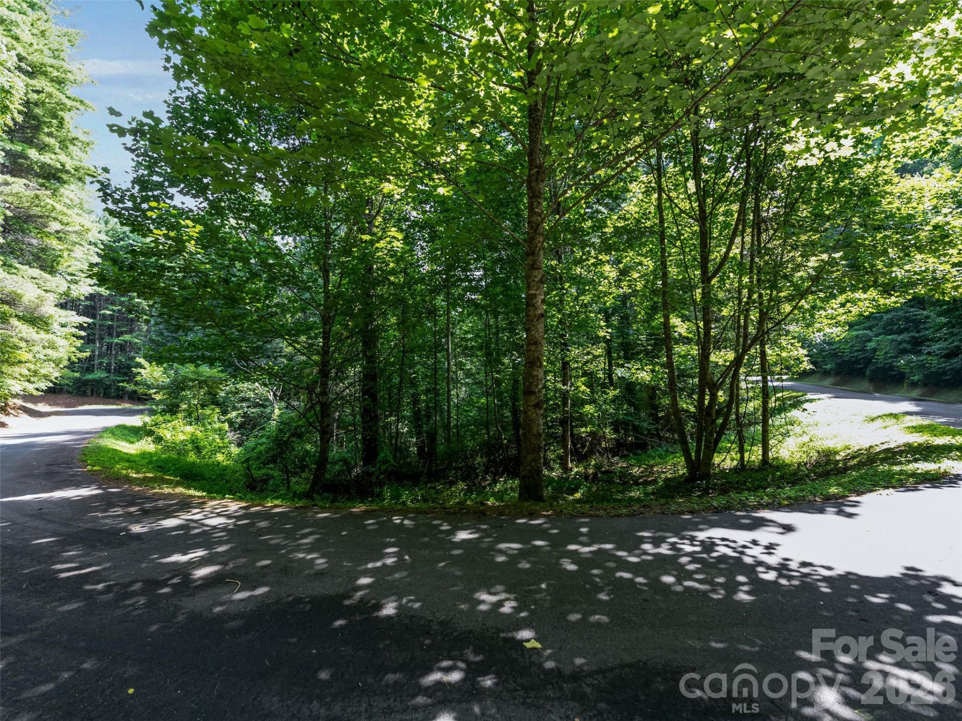 99999 Gordon Lane - Photo 7